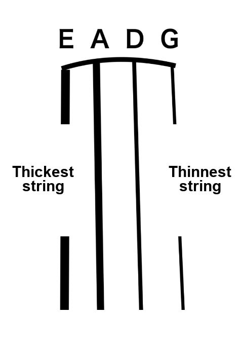 Diagram showing the E, A, D, and G strings from thickest to thinnest